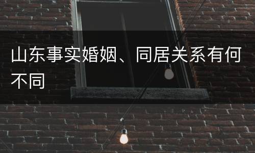 山东事实婚姻、同居关系有何不同