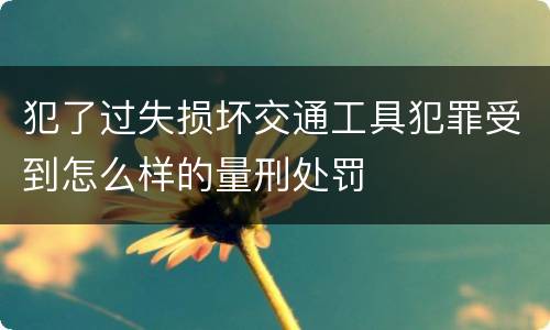 犯了过失损坏交通工具犯罪受到怎么样的量刑处罚