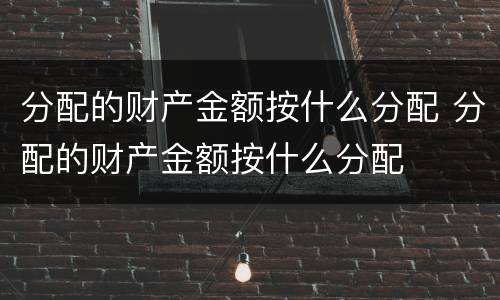 分配的财产金额按什么分配 分配的财产金额按什么分配