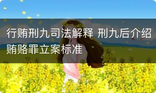行贿刑九司法解释 刑九后介绍贿赂罪立案标准