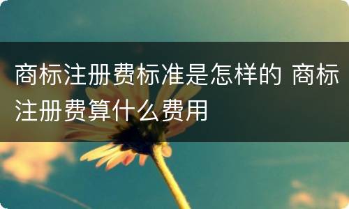 商标注册费标准是怎样的 商标注册费算什么费用