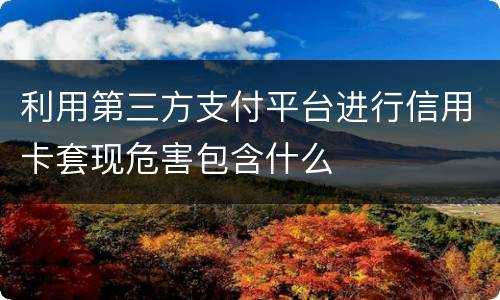 利用第三方支付平台进行信用卡套现危害包含什么