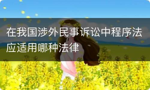 在我国涉外民事诉讼中程序法应适用哪种法律