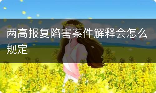 两高报复陷害案件解释会怎么规定