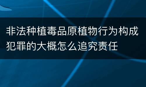 非法种植毒品原植物行为构成犯罪的大概怎么追究责任