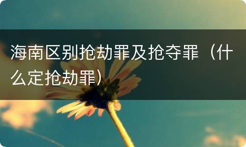 海南区别抢劫罪及抢夺罪（什么定抢劫罪）