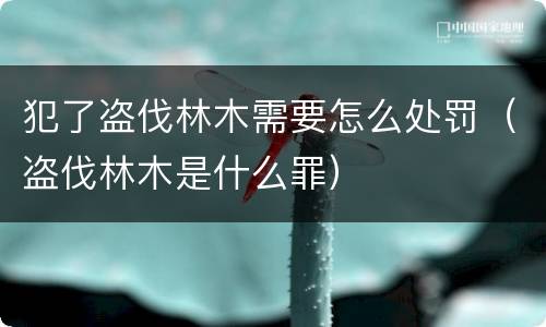 犯了盗伐林木需要怎么处罚（盗伐林木是什么罪）