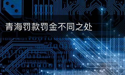 青海罚款罚金不同之处