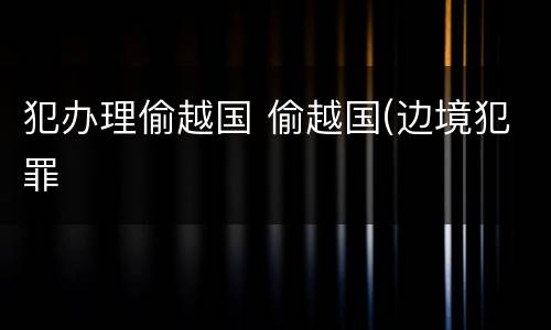 犯办理偷越国 偷越国(边境犯罪