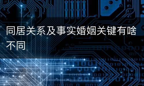同居关系及事实婚姻关键有啥不同