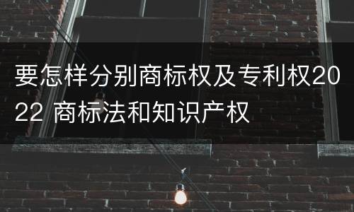 要怎样分别商标权及专利权2022 商标法和知识产权