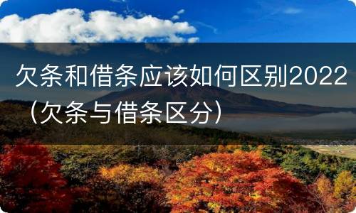 欠条和借条应该如何区别2022（欠条与借条区分）