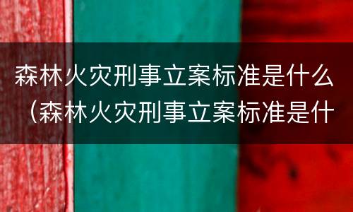 森林火灾刑事立案标准是什么（森林火灾刑事立案标准是什么规定）
