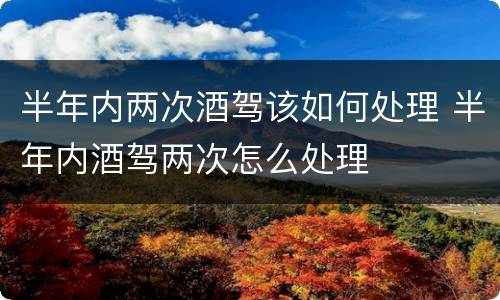 半年内两次酒驾该如何处理 半年内酒驾两次怎么处理