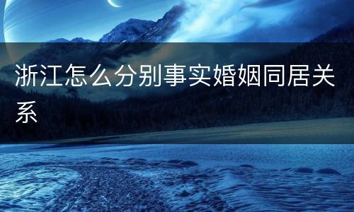 浙江怎么分别事实婚姻同居关系