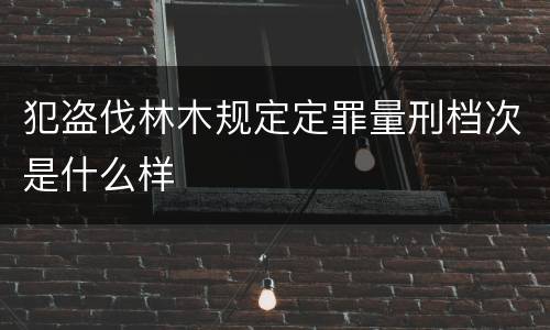 犯盗伐林木规定定罪量刑档次是什么样