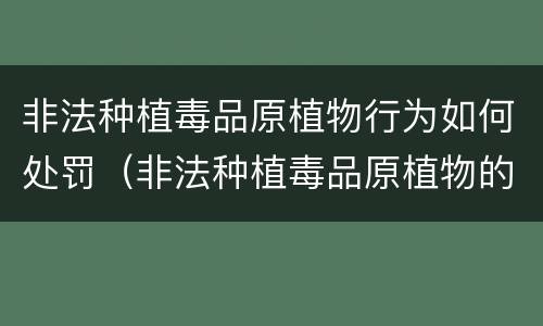 非法种植毒品原植物行为如何处罚（非法种植毒品原植物的处罚）