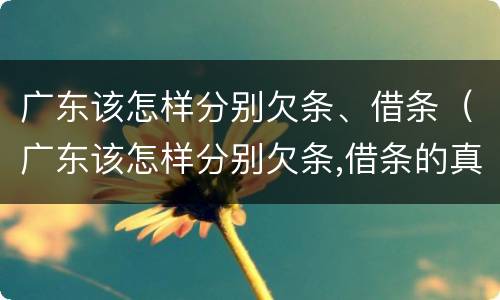 广东该怎样分别欠条、借条（广东该怎样分别欠条,借条的真假）