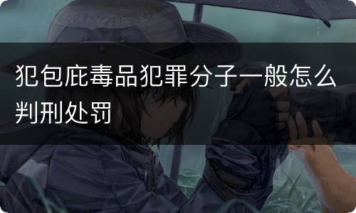 犯包庇毒品犯罪分子一般怎么判刑处罚