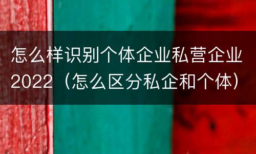 怎么样识别个体企业私营企业2022（怎么区分私企和个体）