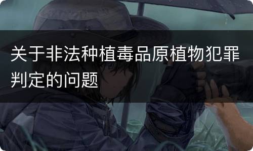 关于非法种植毒品原植物犯罪判定的问题