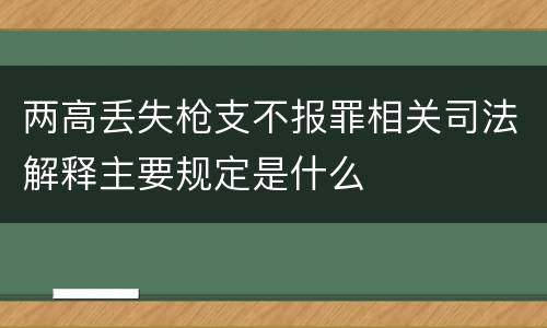 两高丢失枪支不报罪相关司法解释主要规定是什么