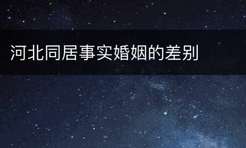 河北同居事实婚姻的差别