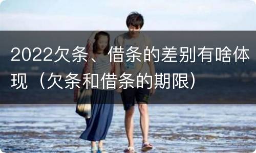 2022欠条、借条的差别有啥体现（欠条和借条的期限）