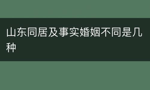 山东同居及事实婚姻不同是几种