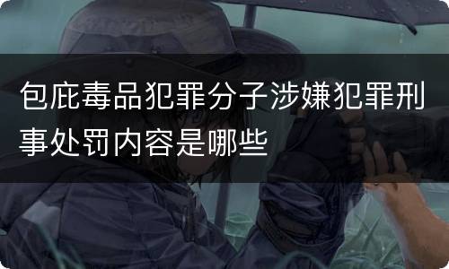 包庇毒品犯罪分子涉嫌犯罪刑事处罚内容是哪些