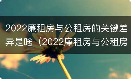 2022廉租房与公租房的关键差异是啥（2022廉租房与公租房的关键差异是啥呢）