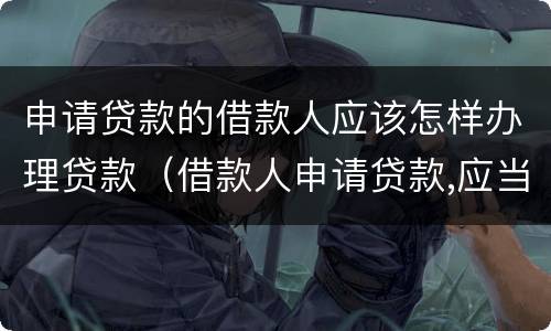 申请贷款的借款人应该怎样办理贷款（借款人申请贷款,应当具备哪些基本条件）