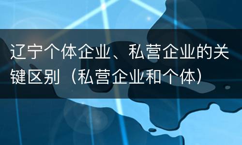 辽宁个体企业、私营企业的关键区别（私营企业和个体）