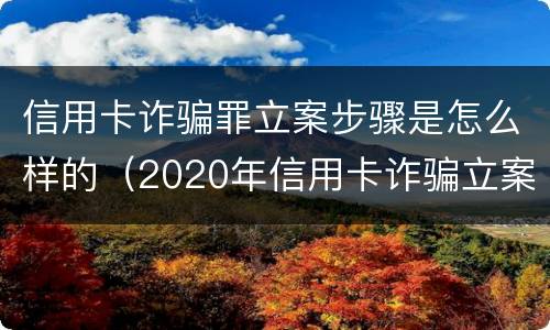 信用卡诈骗罪立案步骤是怎么样的（2020年信用卡诈骗立案标准）