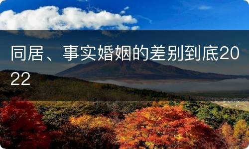 同居、事实婚姻的差别到底2022