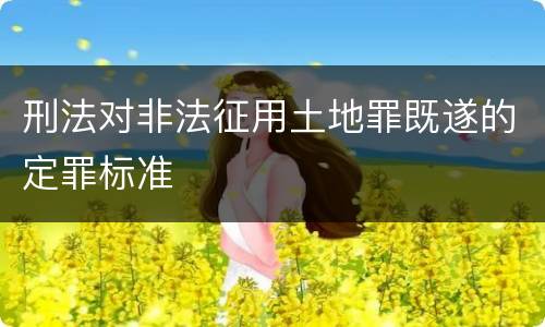 刑法对非法征用土地罪既遂的定罪标准