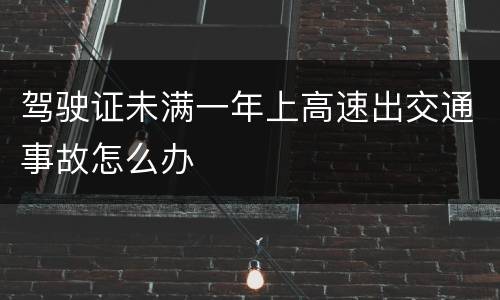 驾驶证未满一年上高速出交通事故怎么办