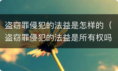 盗窃罪侵犯的法益是怎样的（盗窃罪侵犯的法益是所有权吗）