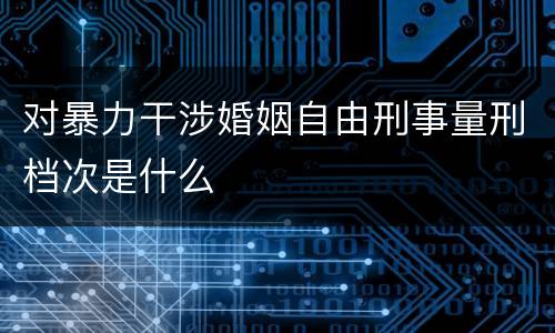 对暴力干涉婚姻自由刑事量刑档次是什么