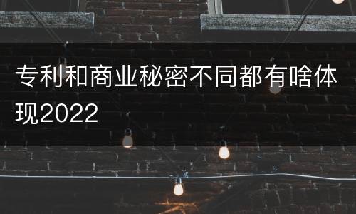 专利和商业秘密不同都有啥体现2022