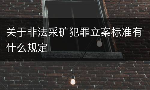 关于非法采矿犯罪立案标准有什么规定