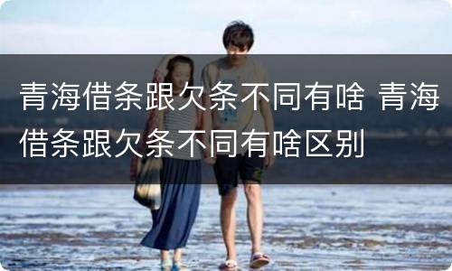 青海借条跟欠条不同有啥 青海借条跟欠条不同有啥区别