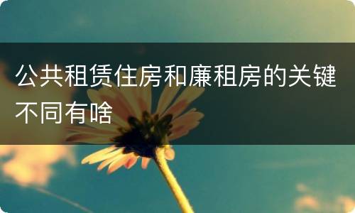 公共租赁住房和廉租房的关键不同有啥