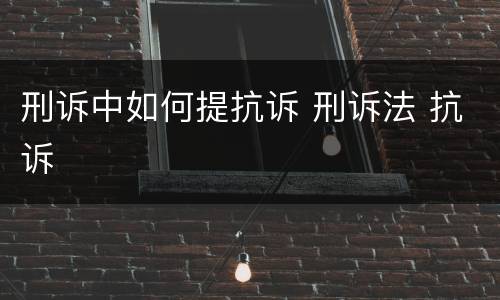 刑诉中如何提抗诉 刑诉法 抗诉
