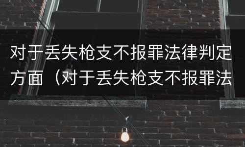 对于丢失枪支不报罪法律判定方面（对于丢失枪支不报罪法律判定方面的规定）