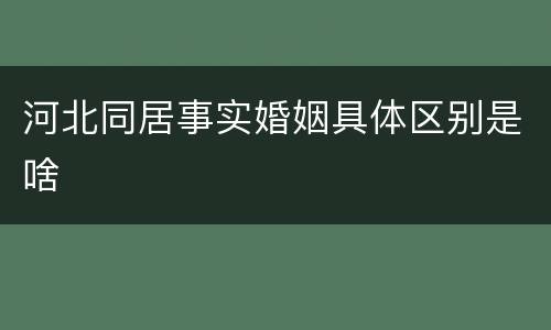 河北同居事实婚姻具体区别是啥