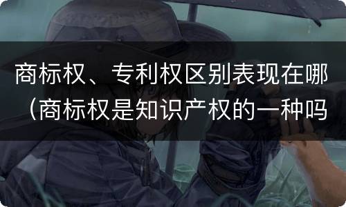 商标权、专利权区别表现在哪（商标权是知识产权的一种吗）