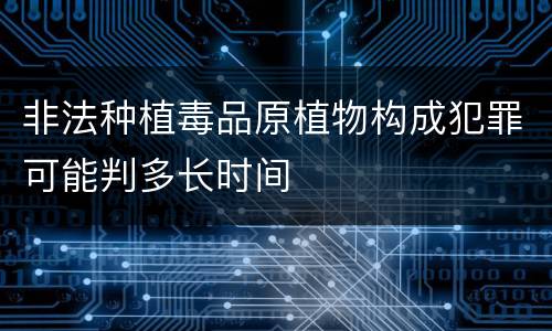 非法种植毒品原植物构成犯罪可能判多长时间