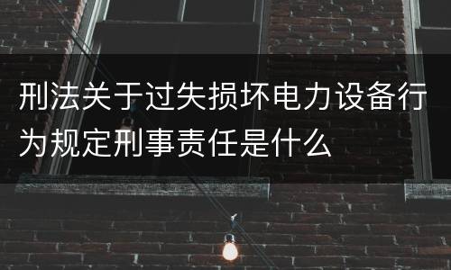 刑法关于过失损坏电力设备行为规定刑事责任是什么