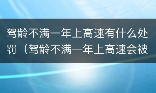 驾龄不满一年上高速有什么处罚（驾龄不满一年上高速会被发现吗）